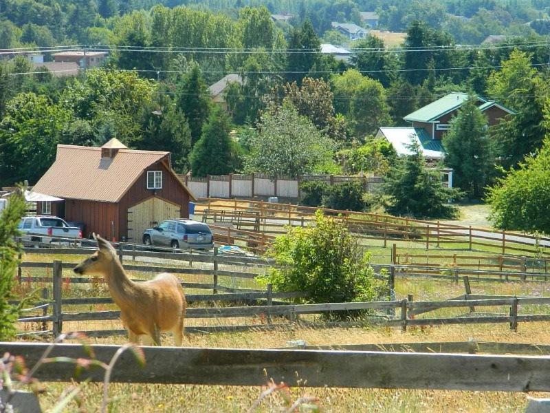 Sq Olympic-View-Cottage Секим Экстерьер фото